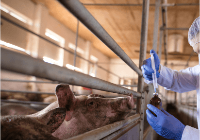 Medicinal industry item image